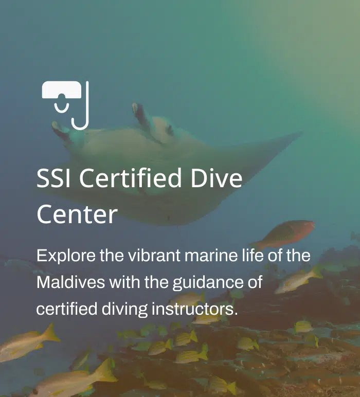 A notice on the Canareef Resort Maldives website