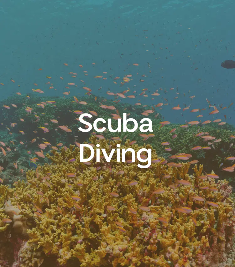 A poster mentioning Scuba Diving on the Canareef Resort website