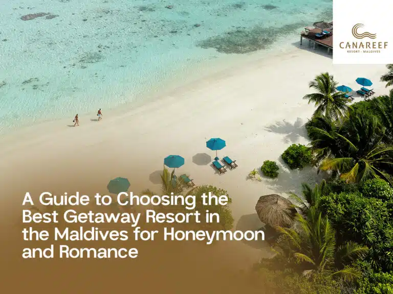 A poster on Canareef Resort Maldives website