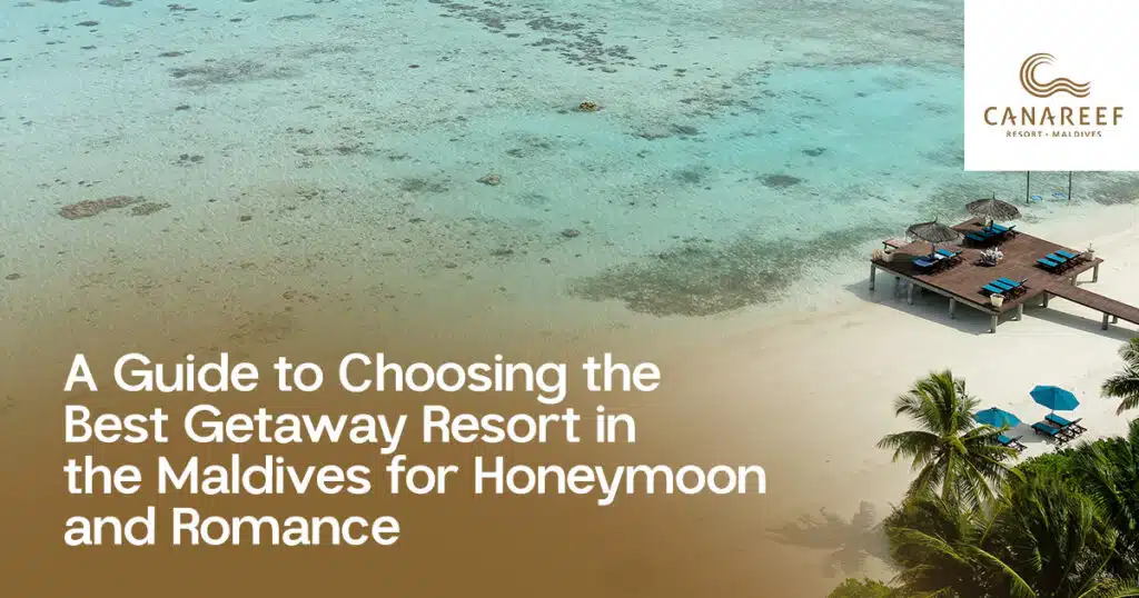 A poster on Canareef Resort Maldives website