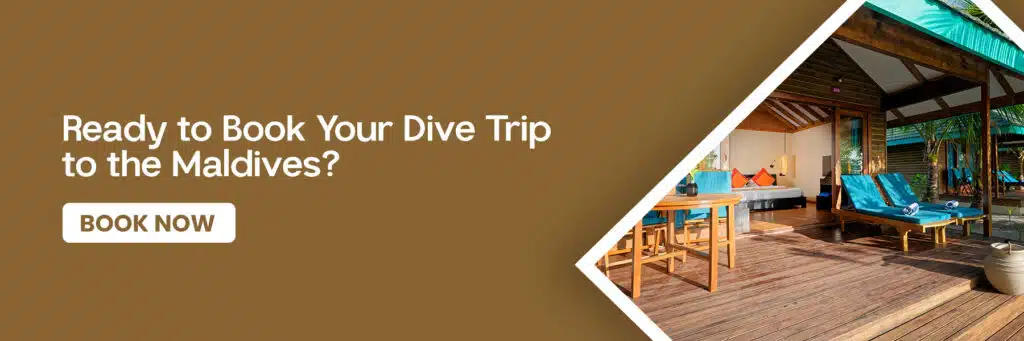 A poster on Canareef Resort Maldives website
