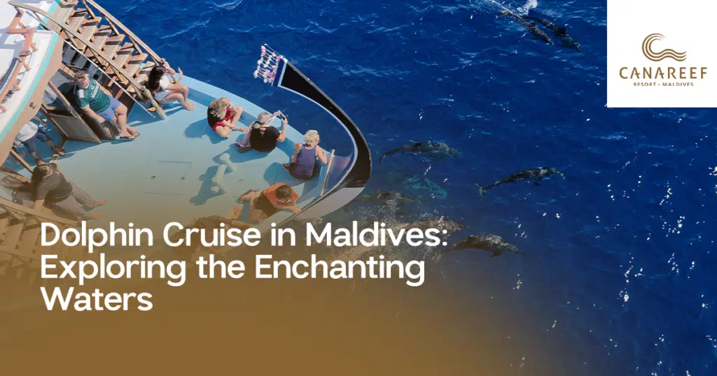 A poster mentioning Dolphin Cruise on the Canareef Resort website