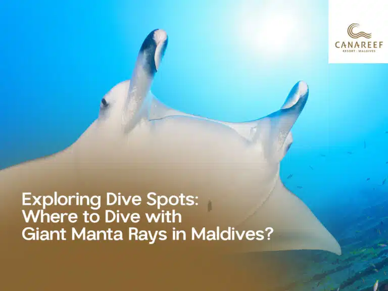 A poster on Canareef Resort Maldives website
