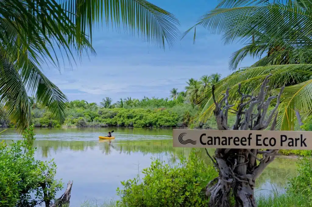 Image of a water body at Canareef Eco Park