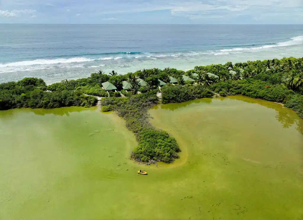 Aerial view of Canareef Eco Park