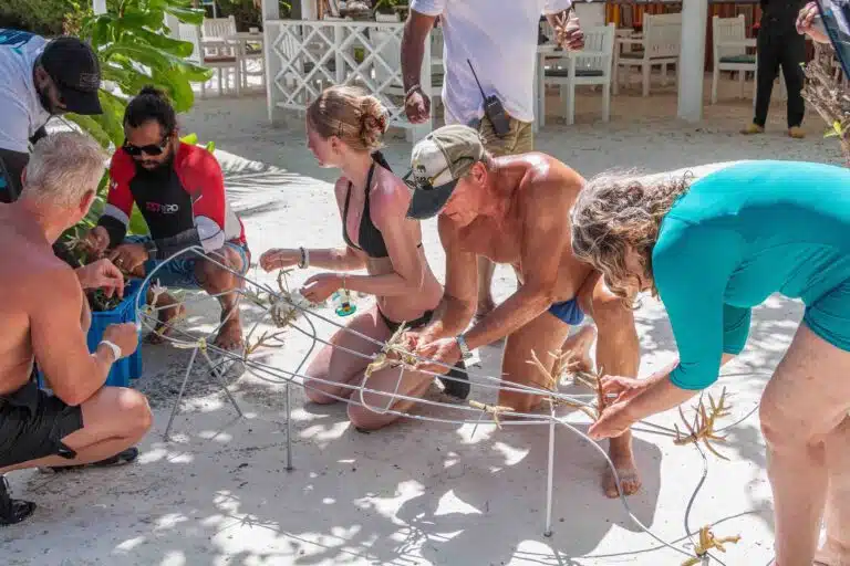 Guests helping with coral transplanting at Canareef Resort Maldives