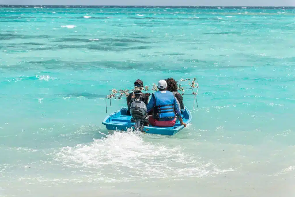 People on a boat leaving the shore at Canareef Resort Maldives