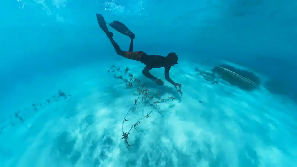 A person diving under the sea at Canareef Resort Maldives