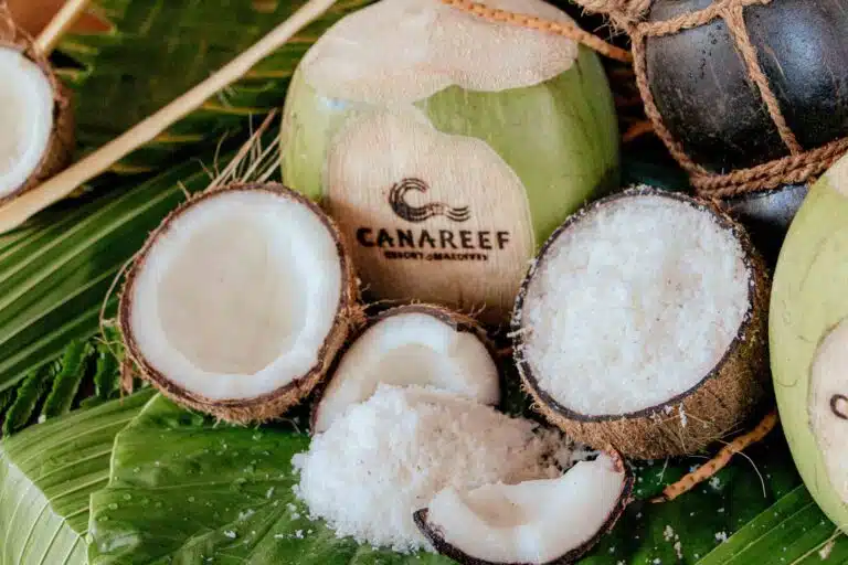 Image of scraped coconut at Canareef Resort Maldives
