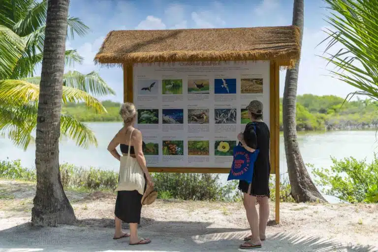 Guests looking at an information board at Canareef Resort Maldives