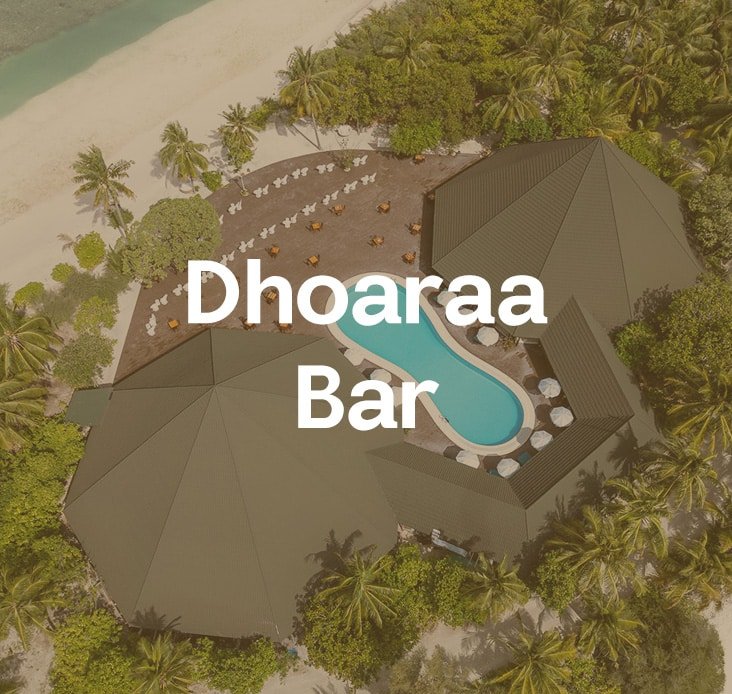 A poster mentioning Beach Bar on the Canareef Resort website