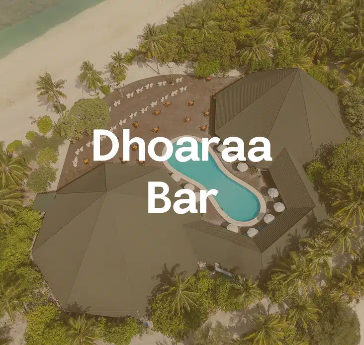 A poster mentioning Beach Bar on the Canareef Resort website