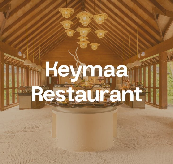 A poster mentioning Beach Bar on the Canareef Resort website