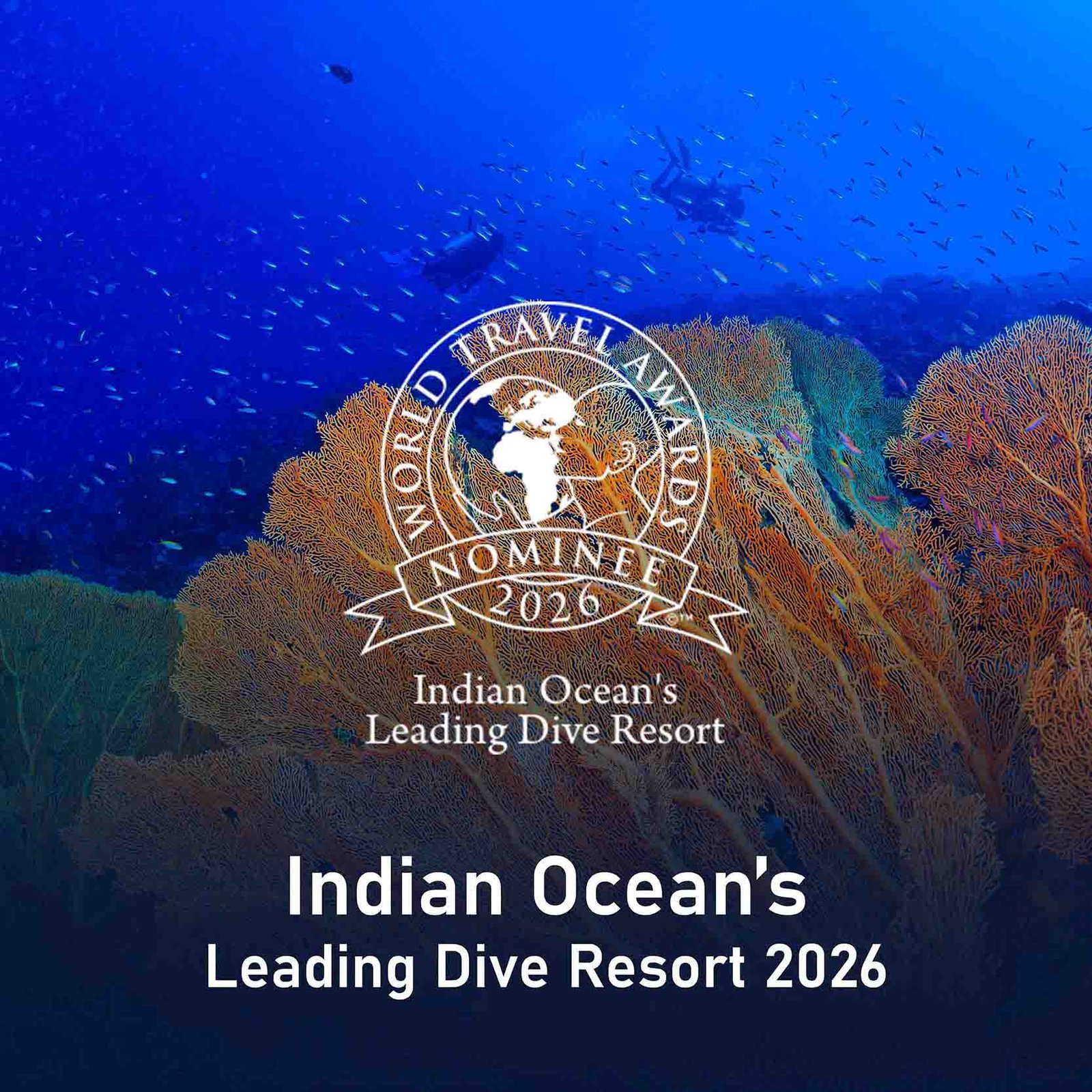 TTM Awards Maldives 2024