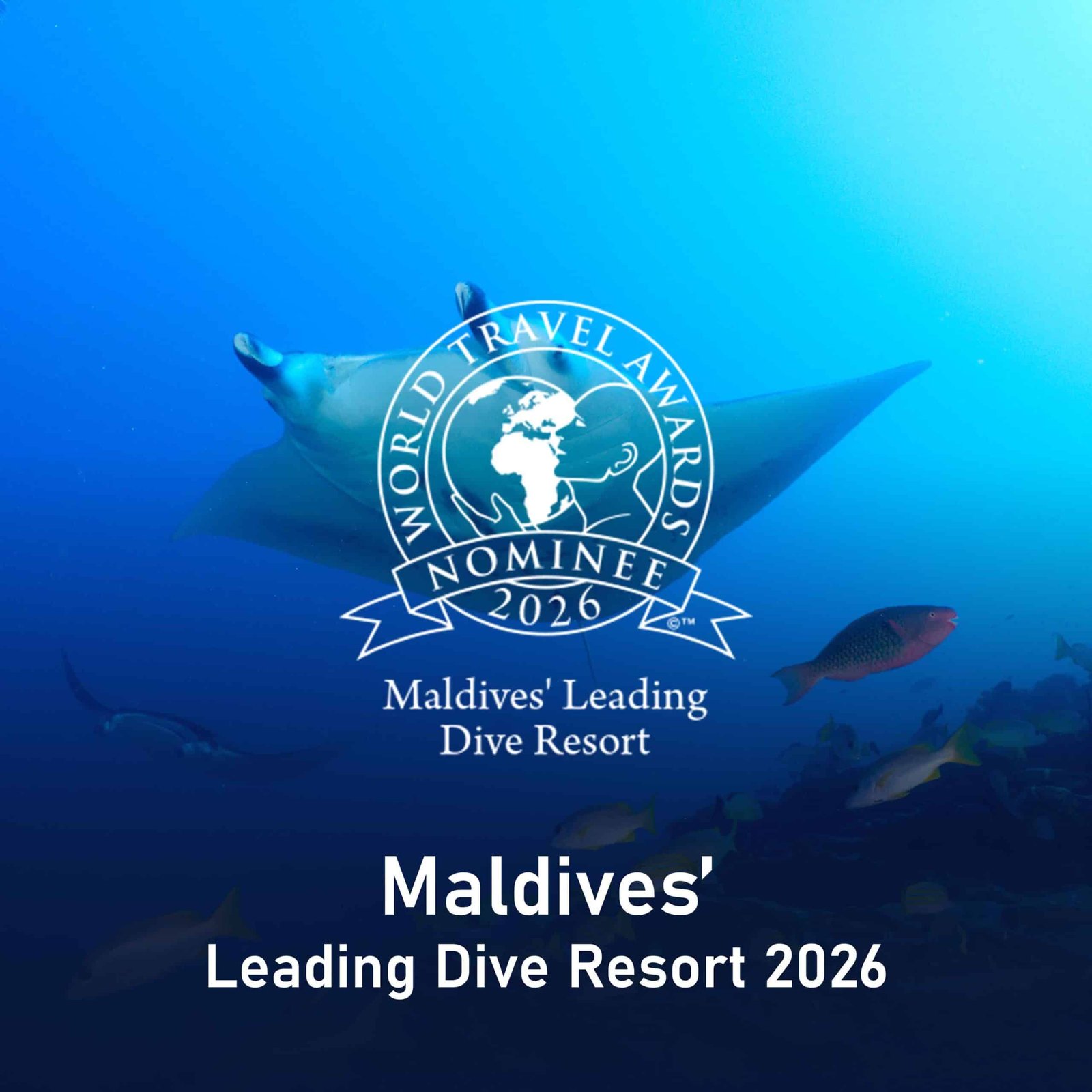 TTM Awards Maldives 2024