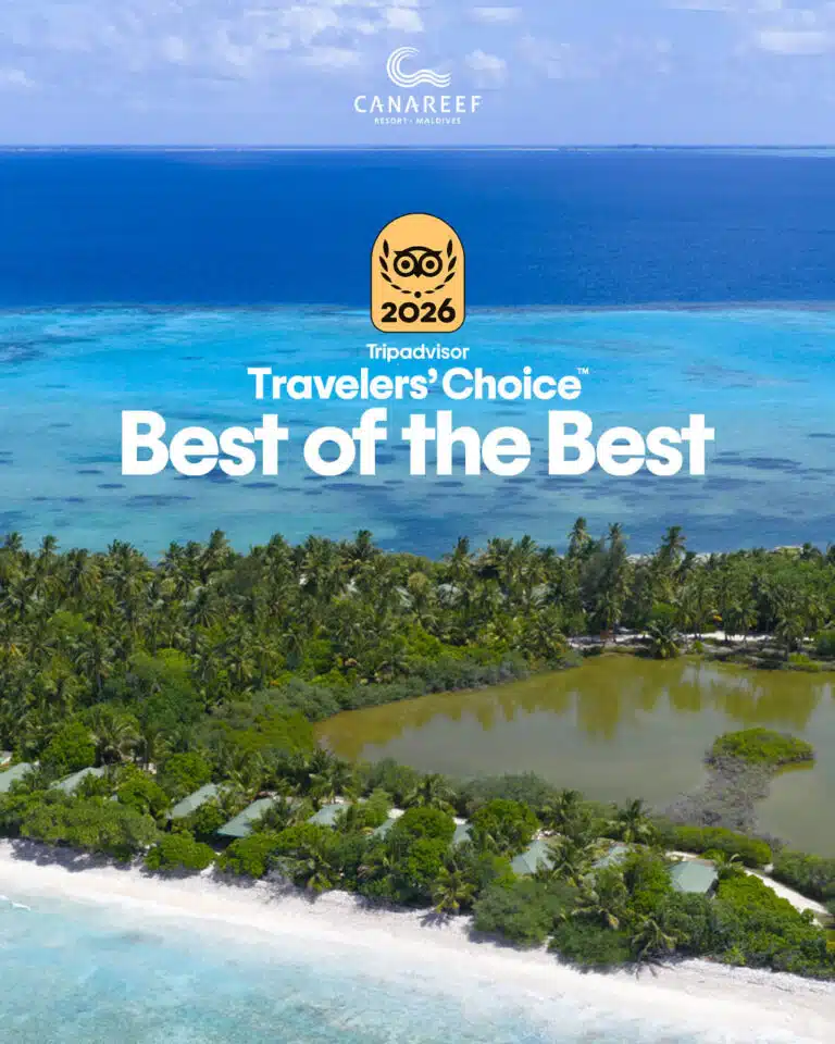 Canareef Resort Maldives logo with Tripadvisor Travelers' Choice Best of the Best 2026 badge – first time earning Tripadvisor's highest honour